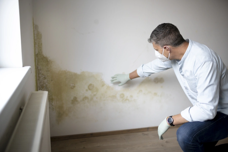 Superior Mold Inspection Alpharetta, GA Superior Mold Inspection Alpharetta, GA
